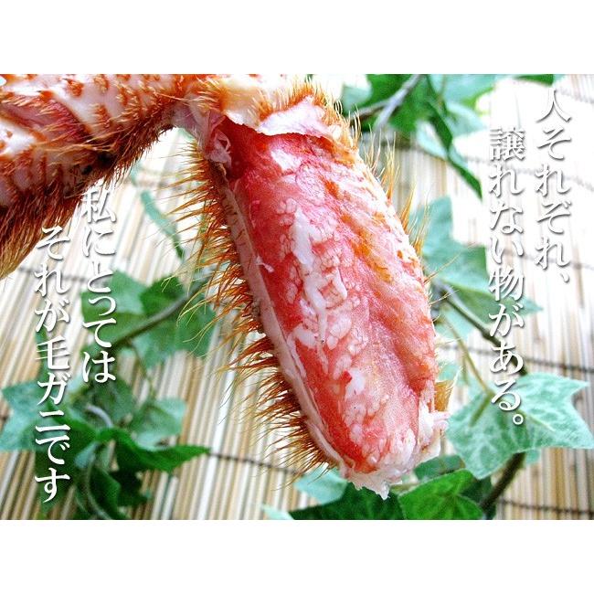 毛蟹 800g×5尾(4kg箱) 北海道 毛がに5尾セット北海道産巨大毛蟹)(冷凍毛ガニ)蟹味噌が最高のカニ(ジャンボ毛蟹)(送料無料) 