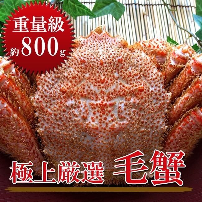 毛蟹 800g×5尾(4kg箱) 北海道 毛がに5尾セット北海道産巨大毛蟹)(冷凍毛ガニ)蟹味噌が最高のカニ(ジャンボ毛蟹)(送料無料) 
