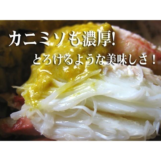 毛蟹 800g×5尾(4kg箱) 北海道 毛がに5尾セット北海道産巨大毛蟹)(冷凍毛ガニ)蟹味噌が最高のカニ(ジャンボ毛蟹)(送料無料) 