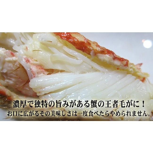 毛蟹 800g×5尾(4kg箱) 北海道 毛がに5尾セット北海道産巨大毛蟹)(冷凍毛ガニ)蟹味噌が最高のカニ(ジャンボ毛蟹)(送料無料) 