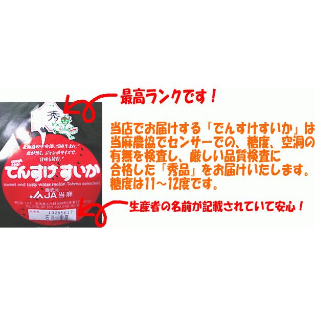 でんすけすいか6Lサイズ以上(ランク秀品、11kg以上)日本農業賞大賞受賞