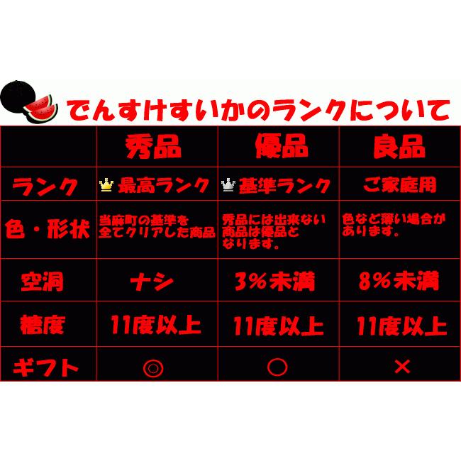 でんすけすいか6Lサイズ以上(ランク秀品、11kg以上)日本農業賞大賞受賞