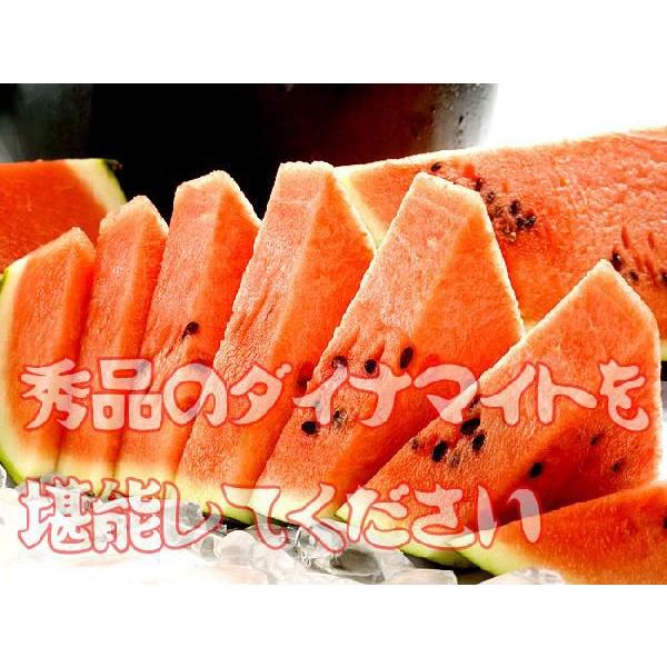 ダイナマイトスイカ (秀品 2L 6kg以上) 北海道月形町特産すいか