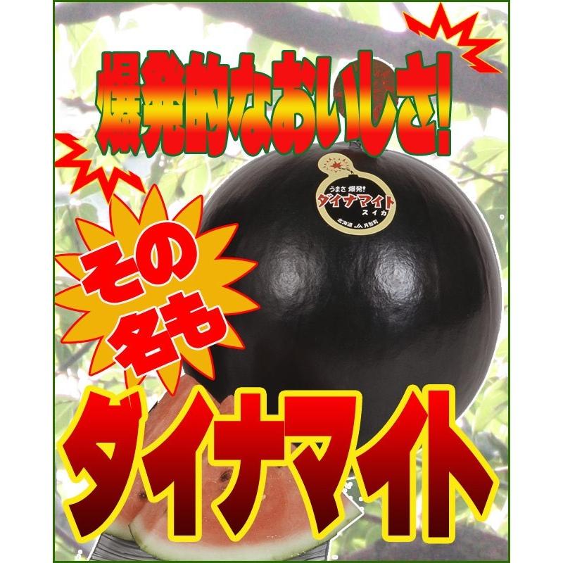 ダイナマイトスイカ (秀品 2L 6kg以上) 北海道月形町特産すいか