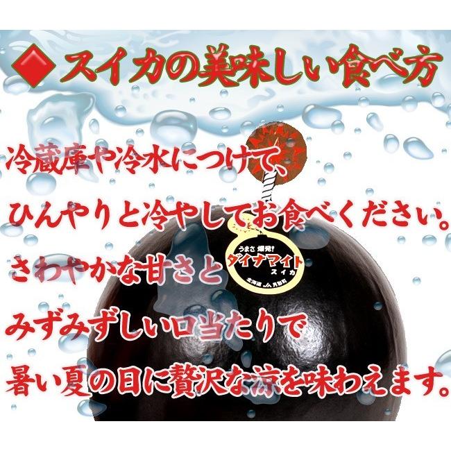 すいか様 モンスターシールNo.023「スイカさま（レア度A）」出現タイム