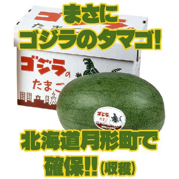 ゴジラのたまご 秀品 6kg以上×1玉 (月形町特産楕円形スイカ) 北海道産