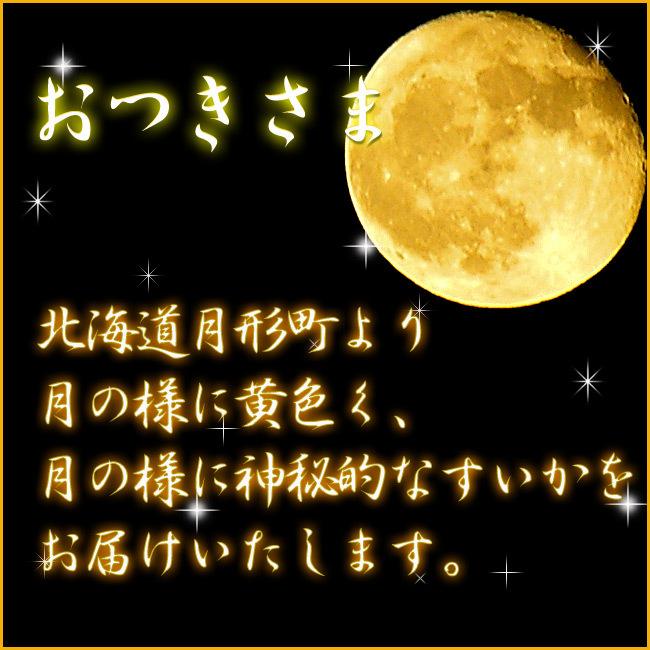 珠海 ※8月末までにお届け コスモ刺しゅう糸 にしきいと 色番号22 真珠 - Brodees By Kameshima