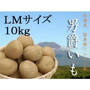 男爵いも10kg (LMサイズ) 北海道産じゃがいも(北海道留寿都ニセコ産)訳ありではありません 送料無料｜kissui｜11