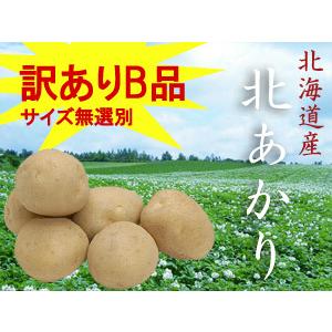 北あかり 10kg (サイズ無選別 訳ありB品) 北海道産じゃがいも (北海道