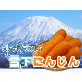 雪下にんじん20kg JAようてい 訳あり 規格外 サイズ無選別 北海道虻田郡真狩村 送料無料！｜kissui｜09