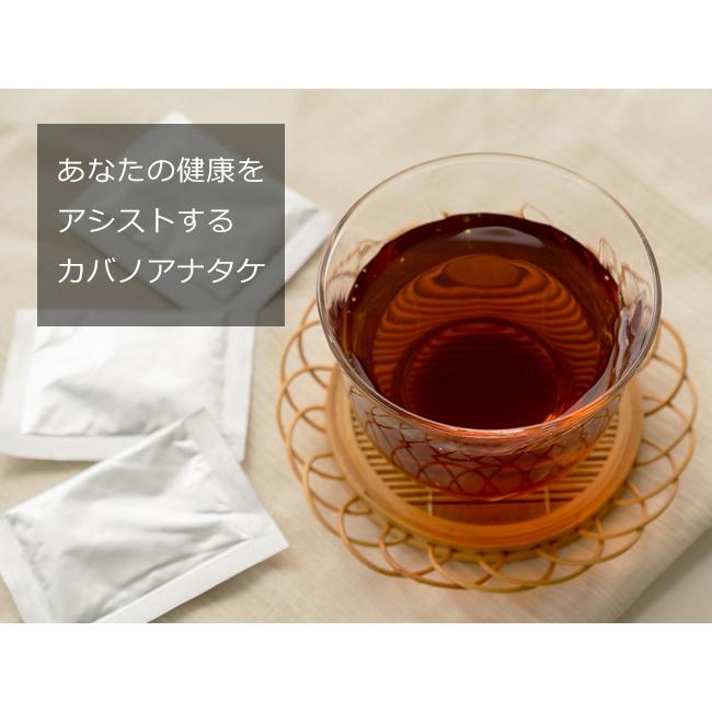 カバノアナタケ茶【お試しセット】2g×10包【北海道産 カバ茶トライアル