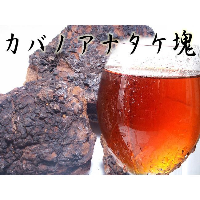 北海道産カバノアナタケ「チャーガ」5キロ‼️ 北海道産カバノアナタケ「チャーガ」5キロ