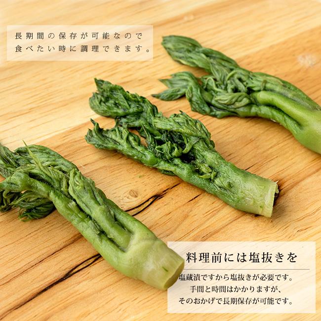 たらの芽塩蔵漬け400g 北海道産タラの芽使用 塩漬け加工 山菜 タラノメ 春を告げる山菜 山菜の王様 メール便対応 No 吉粋 通販 Yahoo ショッピング