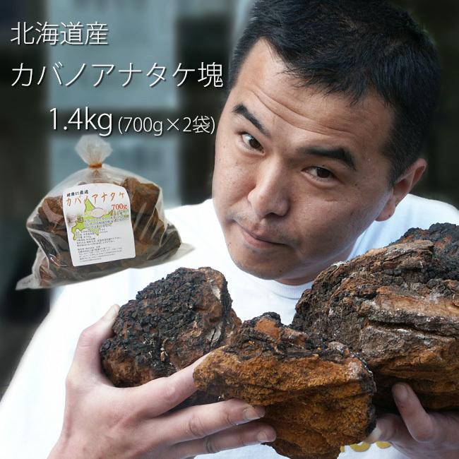 お得用 カバノアナタケ茶塊(原体)1.4kg(700g×2袋セット)北海道産 