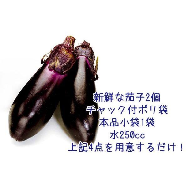 なす2個漬けの素×10袋【1袋13g×3袋入】水250ccを入れるだけ！中程度で6