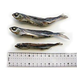 メール便送料無料対応可 とび魚煮干し0g 飛び魚にぼし アゴニボシ あごはトビウオの事です 上品な出汁のとびうお メール便対応 Wantannas Go Id