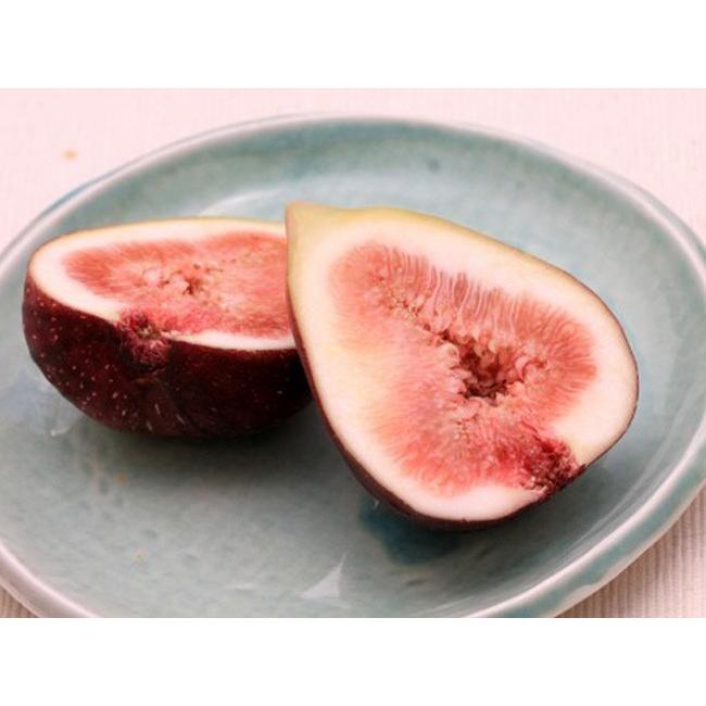 おいしいいちじく 0g 素朴な甘みが美味しい干しイチジク ドライフィグ ぶどう糖仕上げで引き立つ自然な甘み 昔懐かしい無花果のお菓子 メール便対応 Rb 吉粋 通販 Yahoo ショッピング