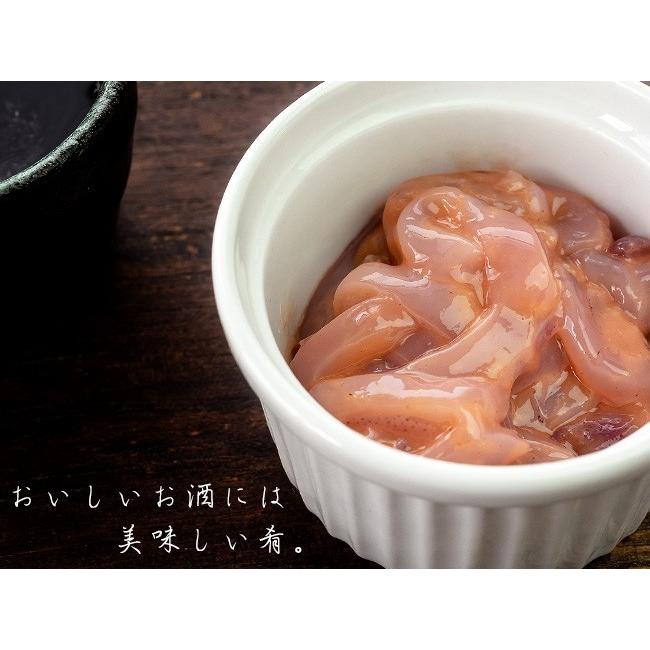 いか塩辛 120g×2本 新鮮で肉厚ないかを厳選して作ったイカシオカラ