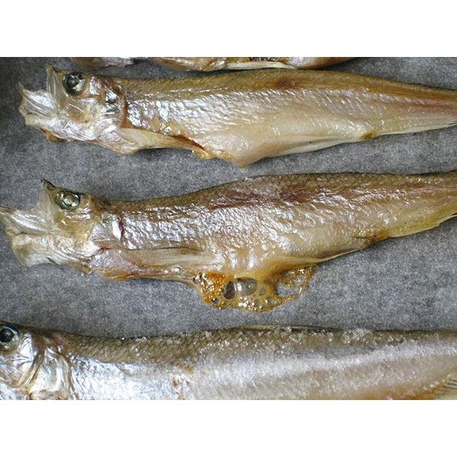 本ししゃもメス30尾(北海道産本柳葉魚)卵を抱えた雌の子持ちシシャモ