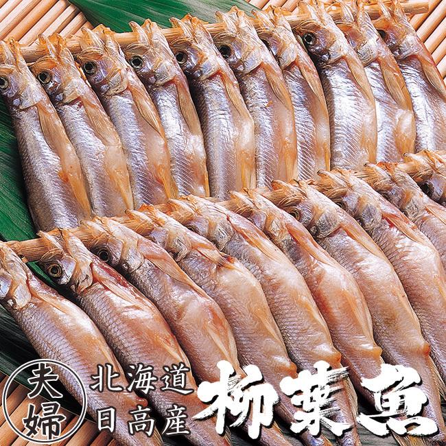 本ししゃも60尾夫婦シシャモ(北海道産本柳葉魚)脂がのり身の引締った雄シシャモ30尾 雌の子持ち30尾 北海道の本シシャモ : 吉粋 - 通販 - Yahoo!ショッピング
