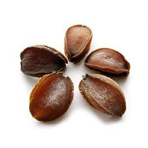 北海道日本海産 蝦夷干し鮑5個（1個あたり14gー25gのエゾ干しアワビ