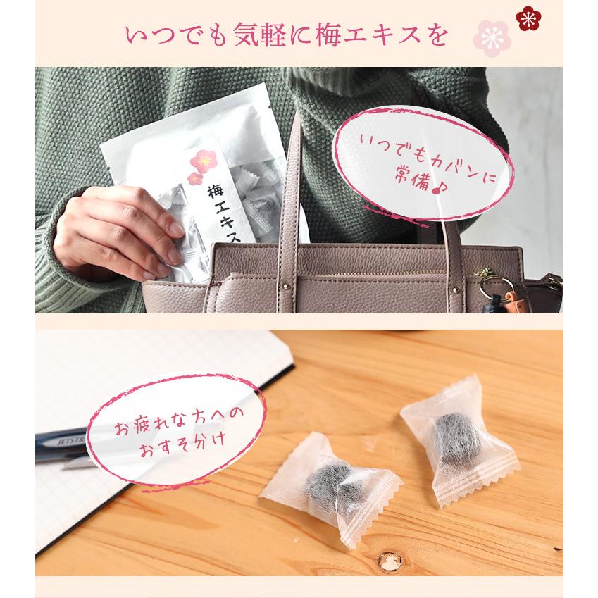 梅肉エキス飴 100g 誕生日 ポイント利用 爆買 : 梅干と梅酒の専門店