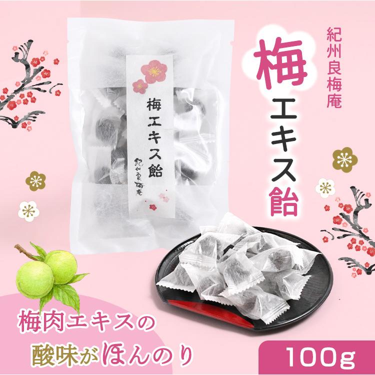梅肉エキス飴 100g 誕生日 ポイント利用 爆買 : 梅干と梅酒の専門店