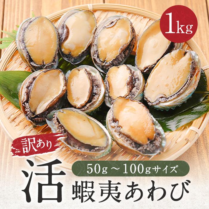 あわび アワビ 鮑 蝦夷あわび 活蝦夷あわび 12個 18個入 1000g 蝦夷あわび 蝦夷アワビ お歳暮 高級食材ギフト 食べ物 お歳暮ギフト 歳暮 Ko 1000 あわび専門紀州紀和味 通販 Yahoo ショッピング