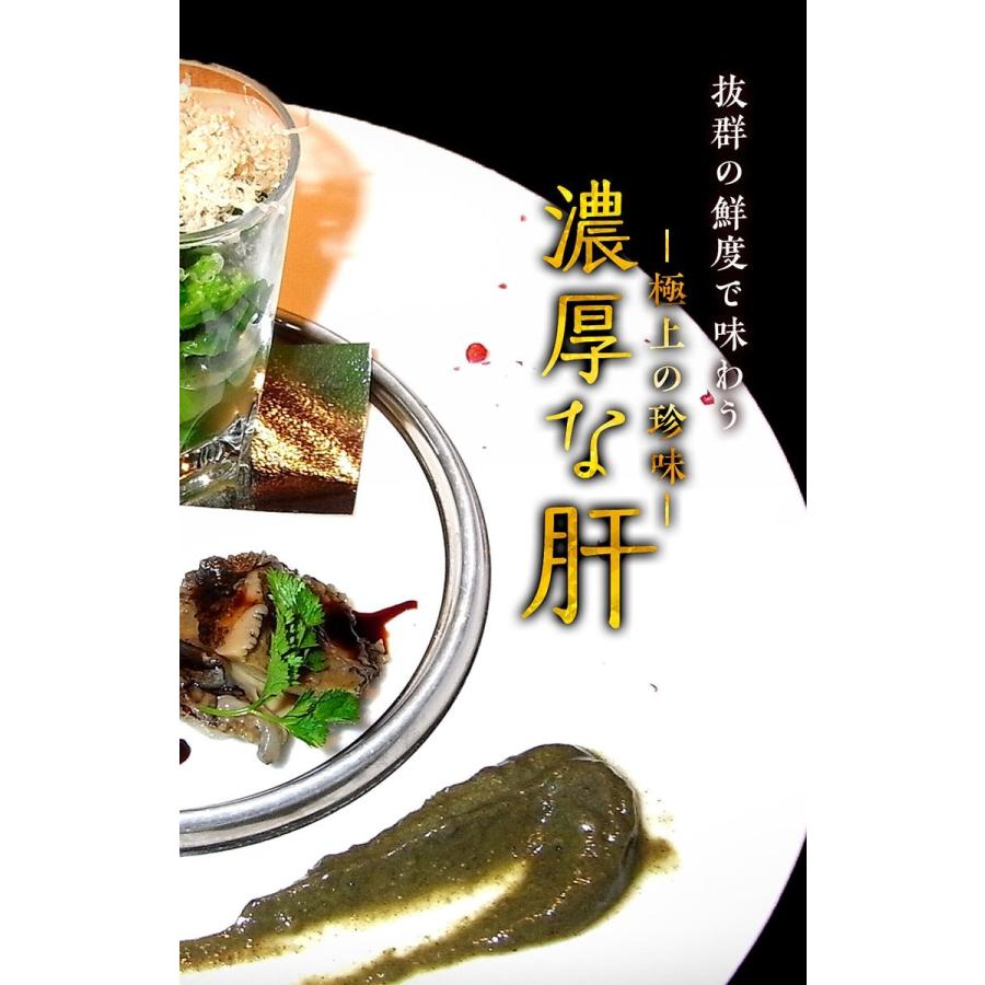 新素材新作 訳あり あわび アワビ 鮑 蝦夷あわび 活蝦夷あわび 50g 60gサイズ 5個入り 蝦夷アワビ お歳暮 高級食材 歳暮 Wantannas Go Id