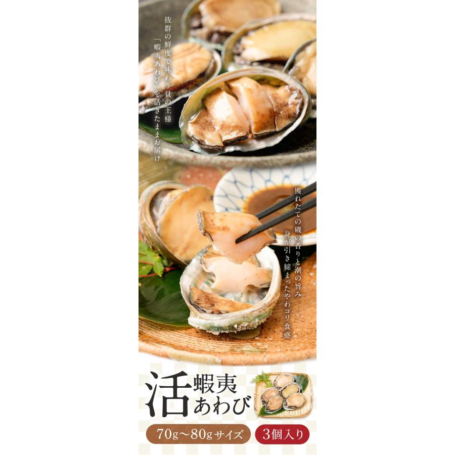 あわび アワビ 鮑 蝦夷あわび 活蝦夷あわび 70g-80gサイズ 3個入り 蝦夷あわび 蝦夷アワビ アワビ 鮑 訳あり 活アワビ お歳暮 :ko-7005-1-3:あわび専門紀州紀和味 - 通販 - Yahoo!ショッピング あわび アワビ 鮑 蝦夷あわび 活蝦夷あわび 70g-80gサイズ 3個入り 蝦夷あわび 蝦夷アワビ アワビ 鮑 訳あり 活アワビ お歳暮 :ko-7005-1-3:あわび専門紀州紀和味 - 通販 - Yahoo!ショッピング