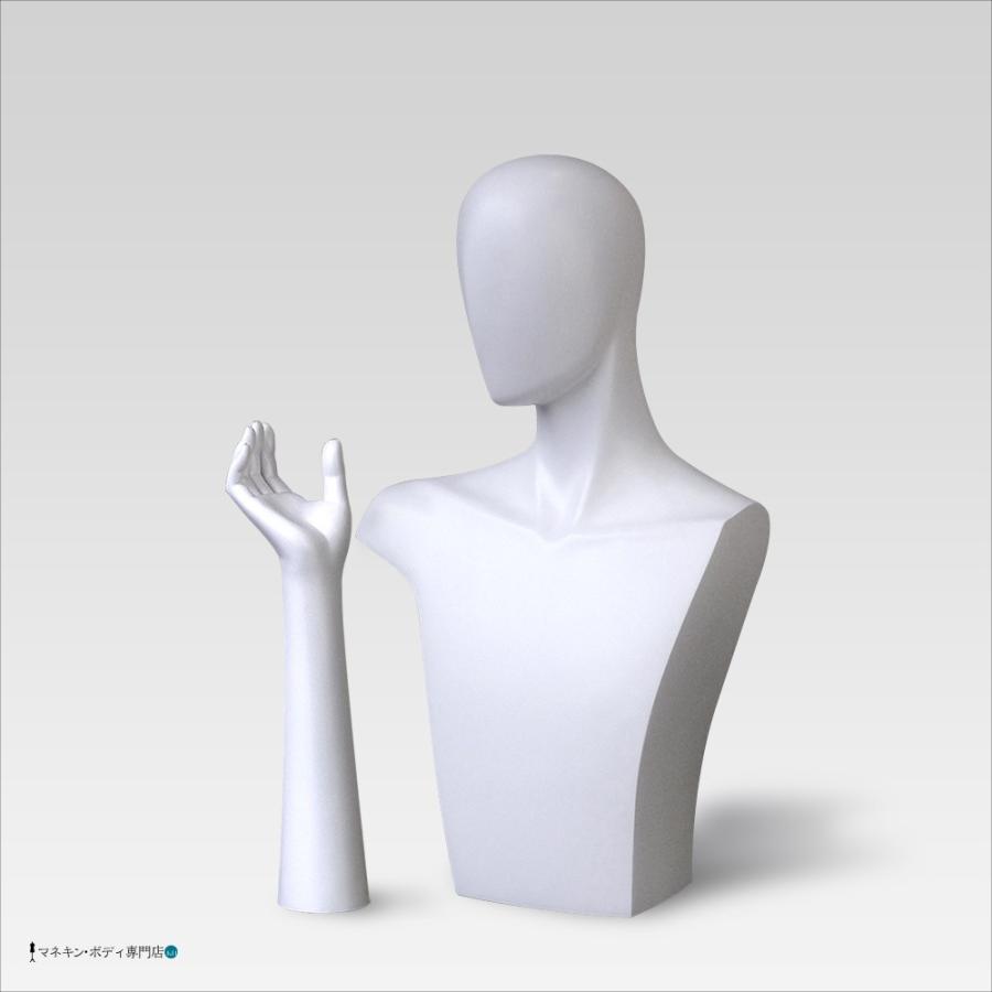 ヘッド＋ハンドトルソー（アームタイプ・白艶消し塗装）アクセサリー紳士 D10-M34 |  | 01