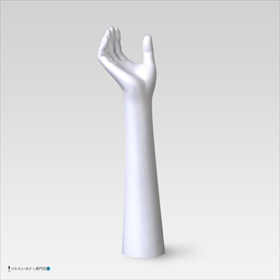 ヘッド＋ハンドトルソー（アームタイプ・白艶消し塗装）アクセサリー紳士 D10-M34 |  | 03