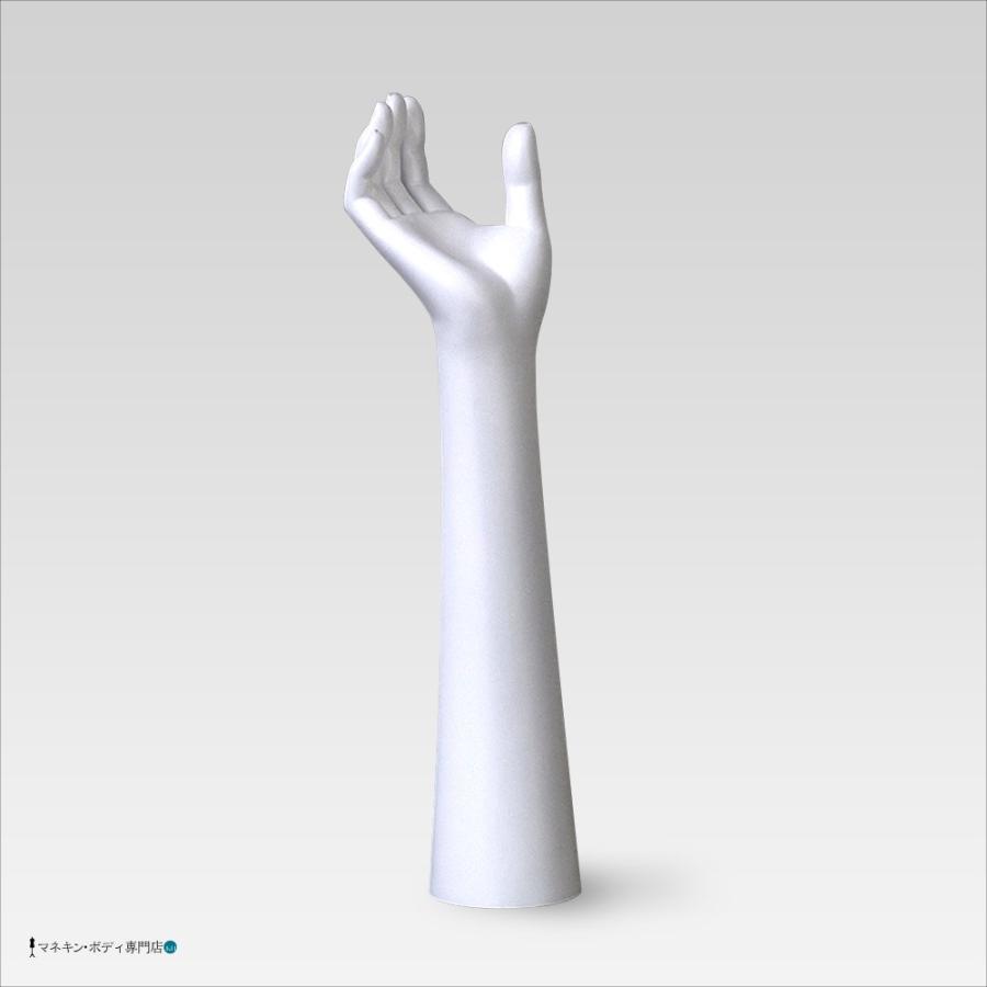 ハンドツールトルソー（アームタイプ・白艶消し塗装）アクセサリー メンズ M-SD34 |  | 01