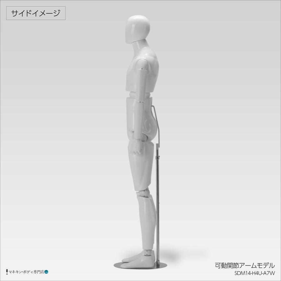 全身可動マネキン Newサンドール 紳士 可動アーム ウエスト