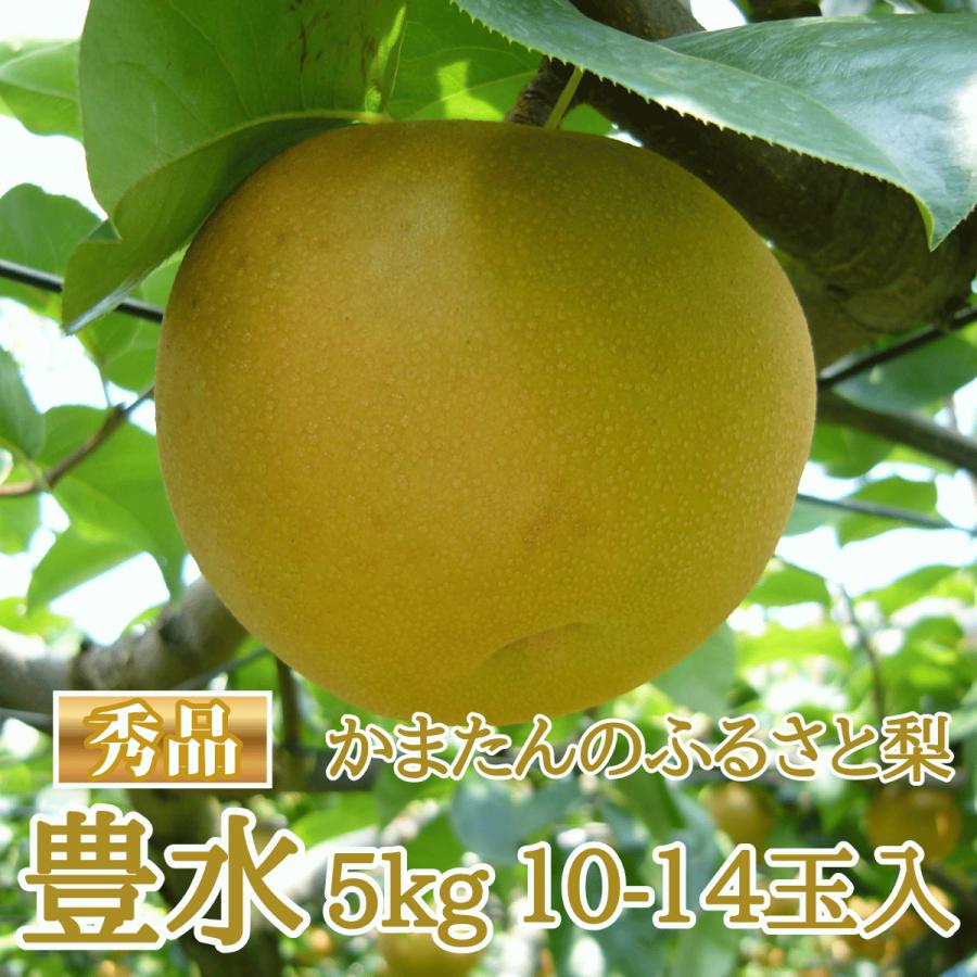 豊水】かまたんのふるさと梨 豊水5kg：10~14玉【秀品】 : かまたんの