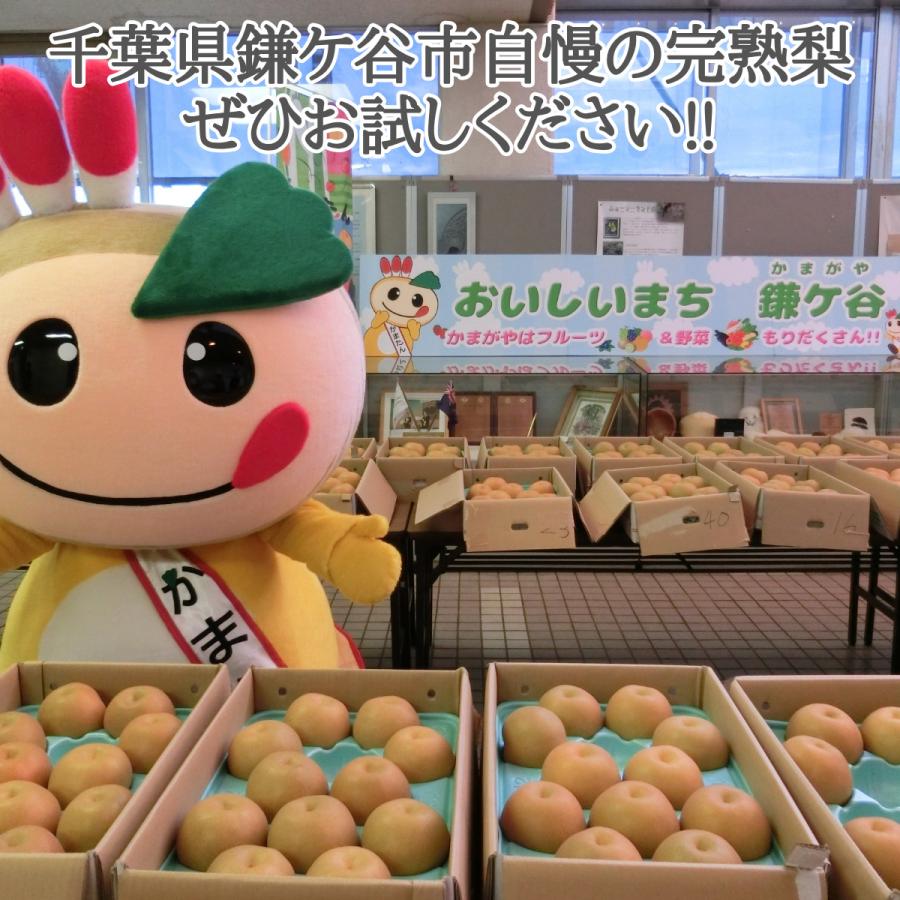 豊水】かまたんのふるさと梨 豊水5kg：10~14玉【秀品】 : かまたんの