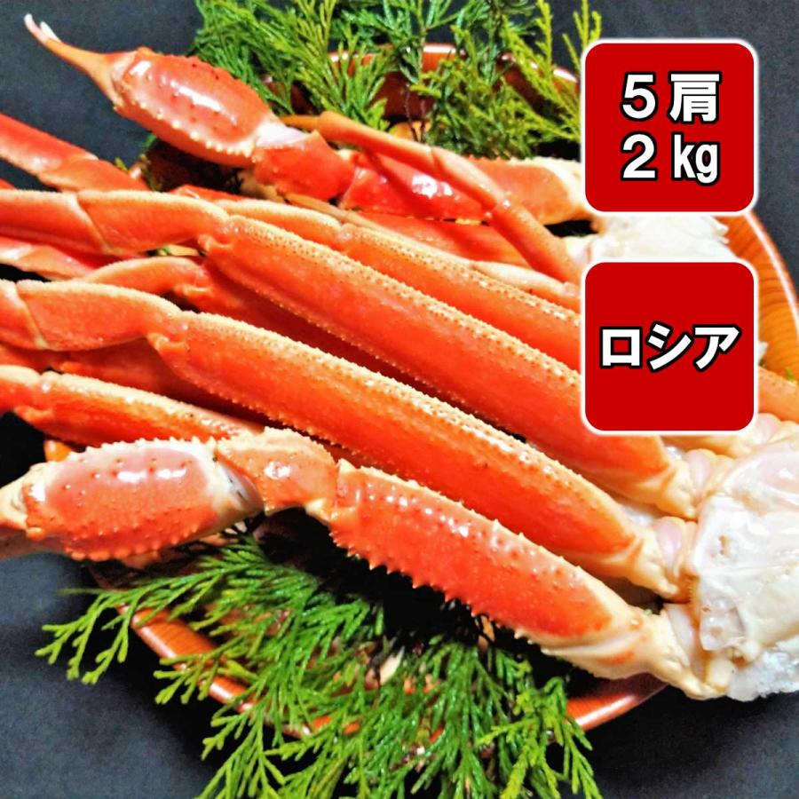 特盛】ズワイガニ足 5肩 計約2kg 脚 肩 爪 ボイル 冷凍 4〜5人前 : 北