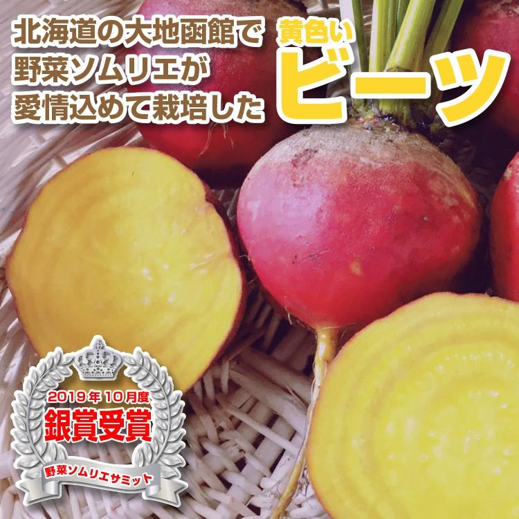 野菜ソムリエが栽培した西洋野菜の黄色い無農薬ビーツ3Kg｜kita-marche
