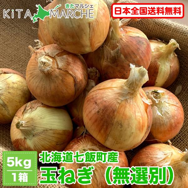 【順次発送中】北海道産 玉ねぎ 約5kg 送料無料 農薬を使用せず栽培した北海道の美味しい秋野菜をお届けします。 | 