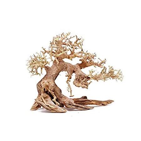 特別価格bonsai Driftwood Aquarium Tree As Random Pick 6in H X 8in L Natural Hand好評販売中 一部予約販売