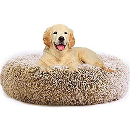 　特別価格Napojoy Cat/Dog Beds for Small Medium Dogs , Calming Cushion Round Donut Do好評販売中