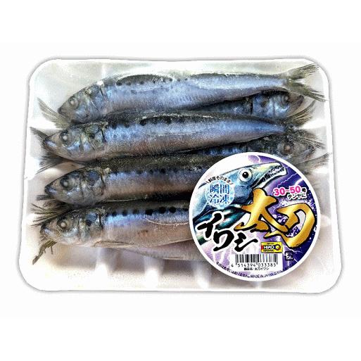 太刀イワシ10パックセット 釣り餌 つけ餌 船釣り 磯釣り 防波堤釣り