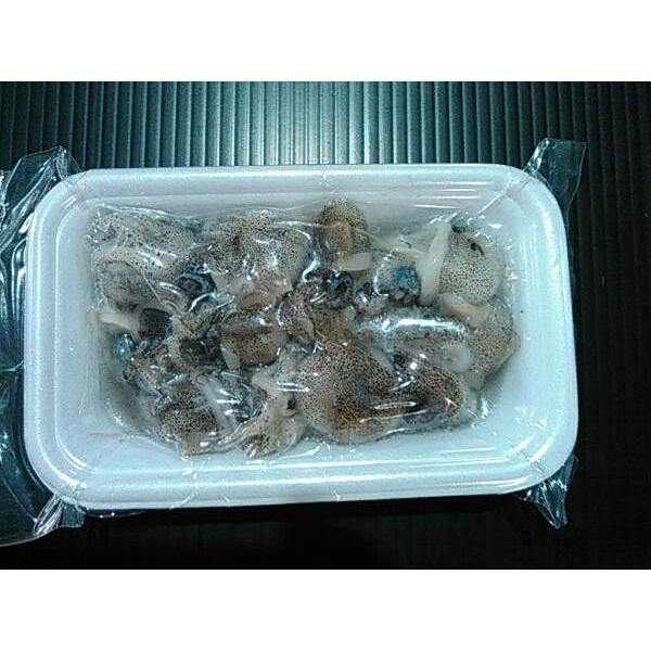 ミミイカ約100g 釣り餌 つけ餌 船釣り 磯釣り 防波堤釣り - Kita9kiji 100 Mi