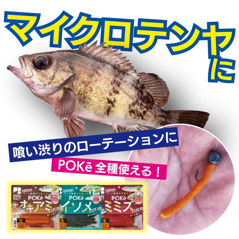 ポケイソメ　太　1袋　釣り餌　新製品　ヒロキュー｜kita9kiji｜04