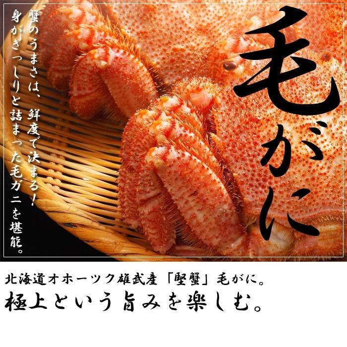 カニ かに 蟹 毛ガニ 毛蟹 8尾 北海道産 570g×8匹セット けがに 毛がに 特大 国産 送料無料 お歳暮 ギフト 高級 海鮮  :A001-001-30-38:北の美食郭 - 通販 - Yahoo!ショッピング