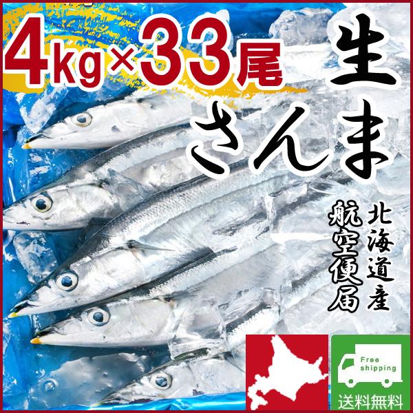 海外限定 豊富な品 北海道産 生サンマ 生さんま トロさんま 中 浜呼び名 4kg 33尾前後 根室 釧路 厚岸 獲れたて日帰り 航空便 翌日着 italytravelpapers.com italytravelpapers.com