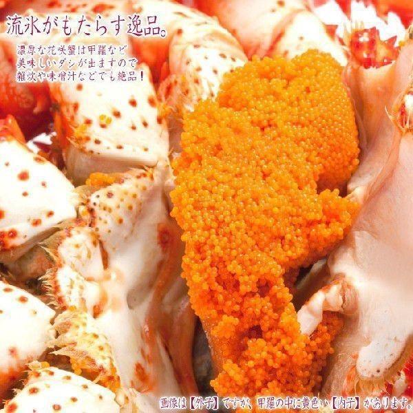 代引不可 花咲ガニ 根室 北海道産 500g 5尾 旬 花咲蟹 取り寄せ 浜ゆで ボイル 丸ごと 送料無料 お歳暮 ギフト 高級 海鮮 超人気の Zoetalentsolutions Com