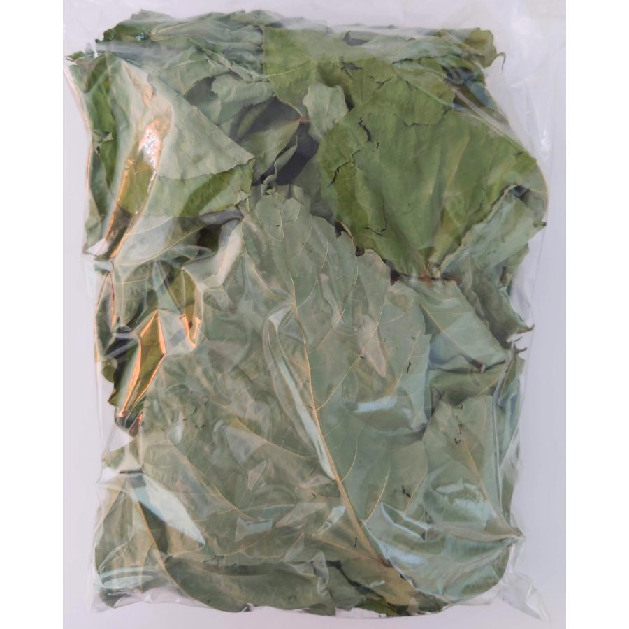 天然くずの生葉　葛の葉　クズ　うさぎおやつ　小動物おやつチモシー代用 天然くずの生葉 葛の葉 クズ うさぎおやつ 小動物おやつチモシー