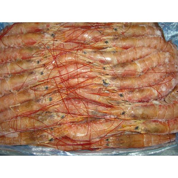 有頭〕アルゼンチン赤エビ2kg（70尾前後）〔E〕北港直販☆えび