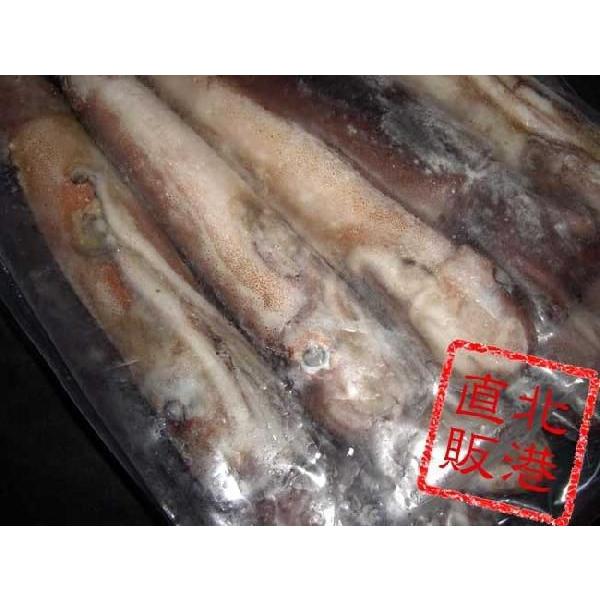 至上 業務用大量 お買い得 送料無料 国産船凍急速冷凍真いか8ｋｇ 25 35杯 ｋ 北港直販 イカ いか するめいか スルメイカ Wantannas Go Id